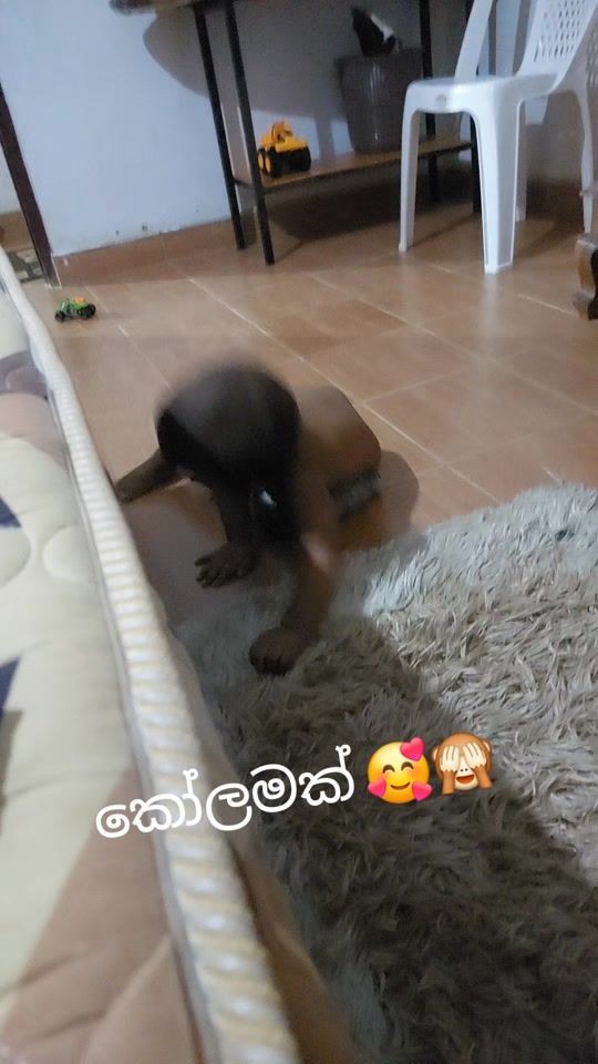 TikTok video thumbnail by chanubaby01