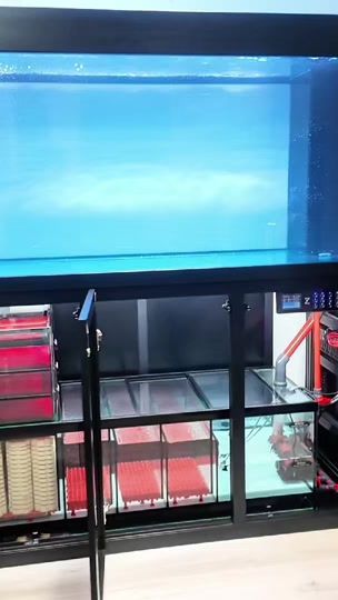 TikTok video thumbnail by zyfishtanks