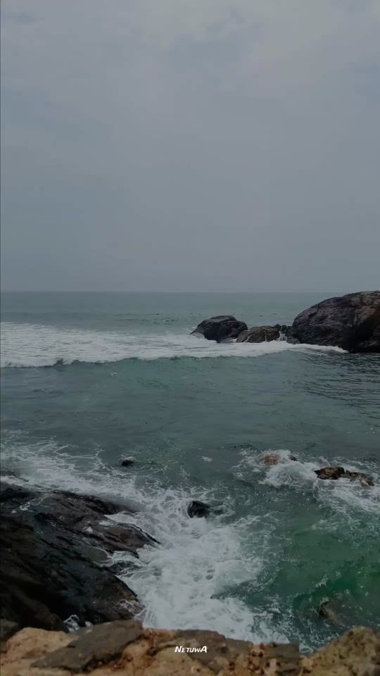 TikTok video thumbnail by netuwa_page