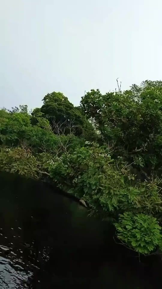TikTok video thumbnail by djef.le.sage
