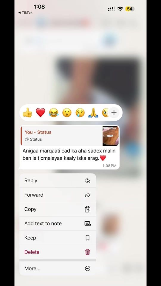 TikTok video thumbnail by dheelitire5