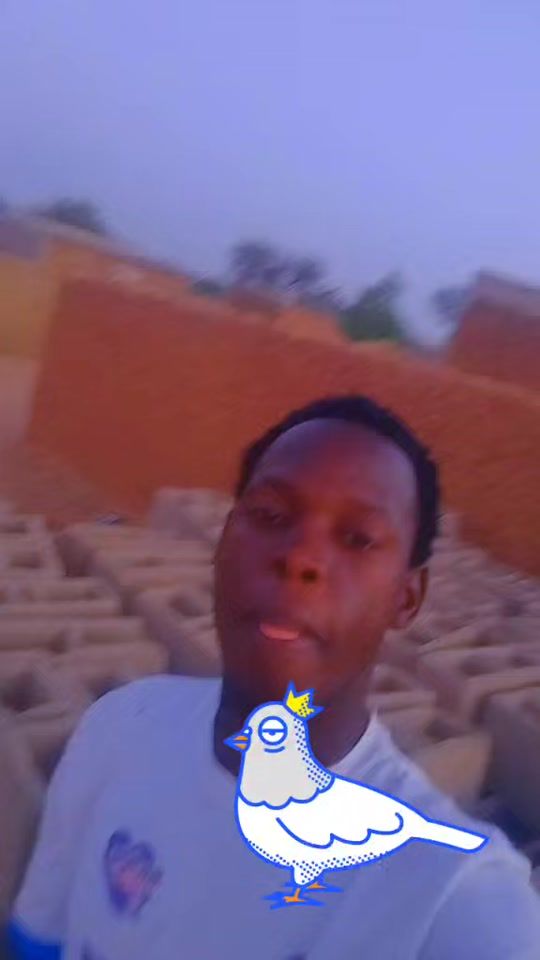 TikTok video thumbnail by user1365590494288