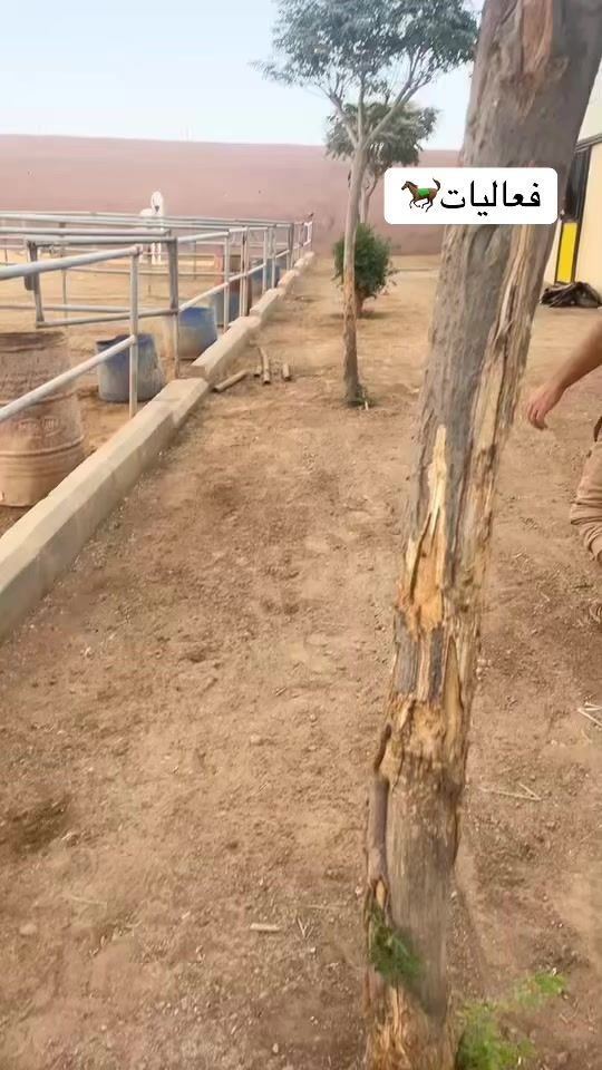 TikTok video thumbnail by wkh_88