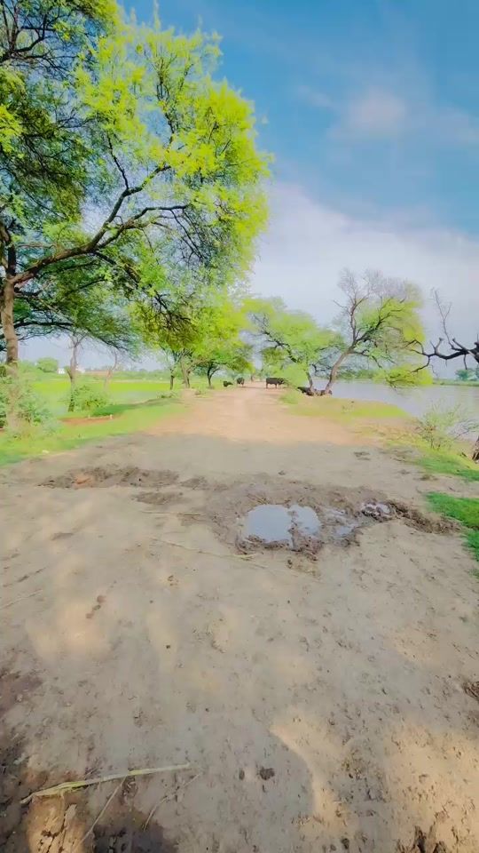 TikTok video thumbnail by talhachohan145