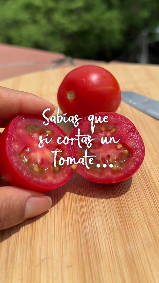 TikTok video thumbnail by campeamigas