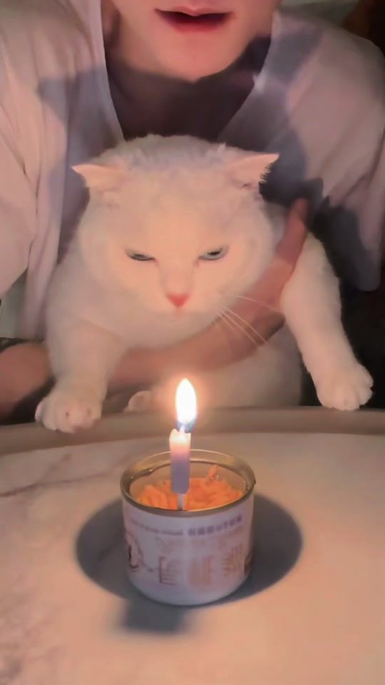 TikTok video thumbnail by yr_71boss