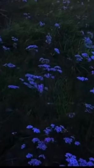 TikTok video thumbnail by ukkh.ms