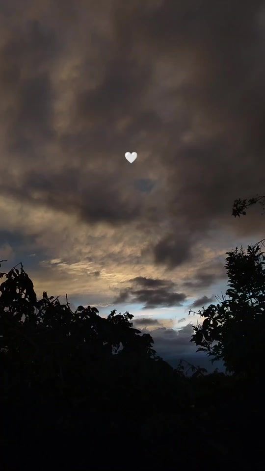 TikTok video thumbnail by gilda.ams