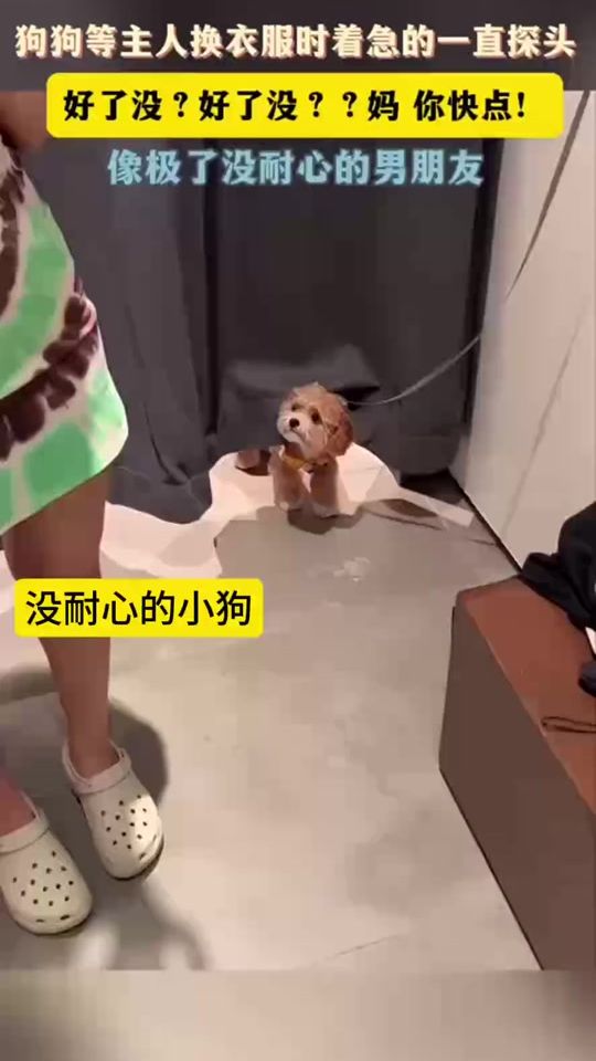TikTok video thumbnail by love1105211