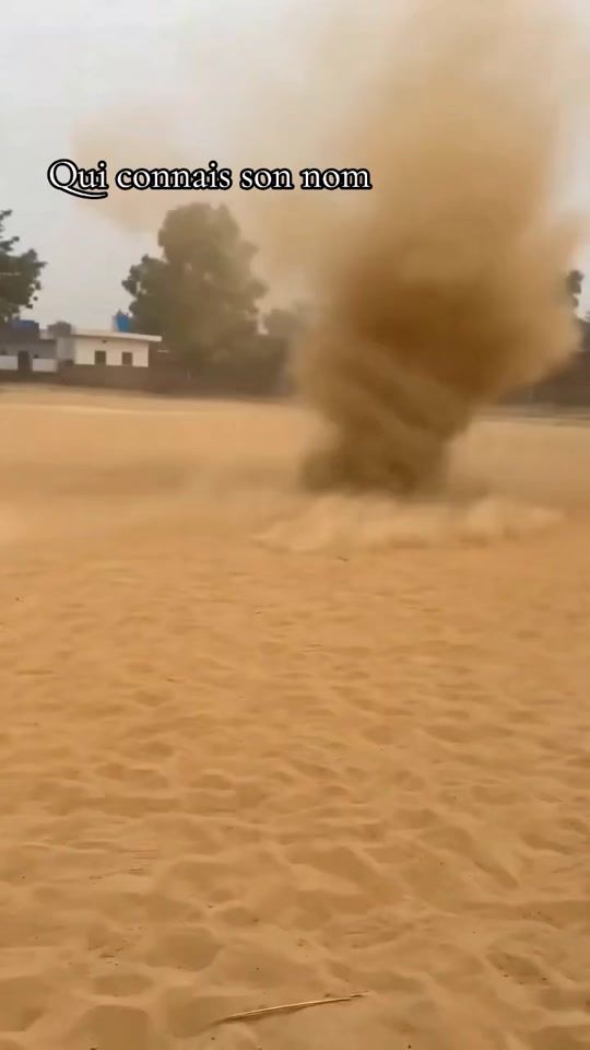 TikTok video thumbnail by petit_rasta0