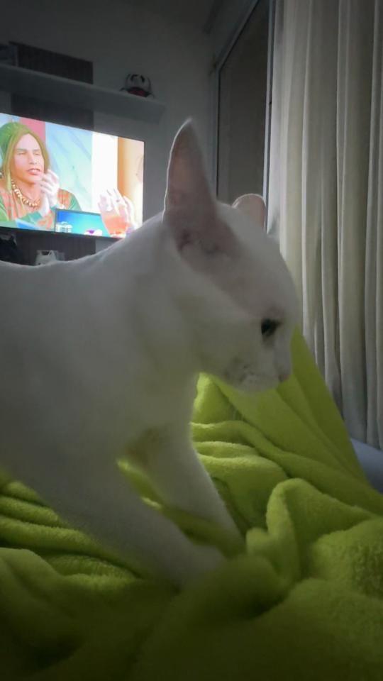 TikTok video thumbnail by aline.trigueiros