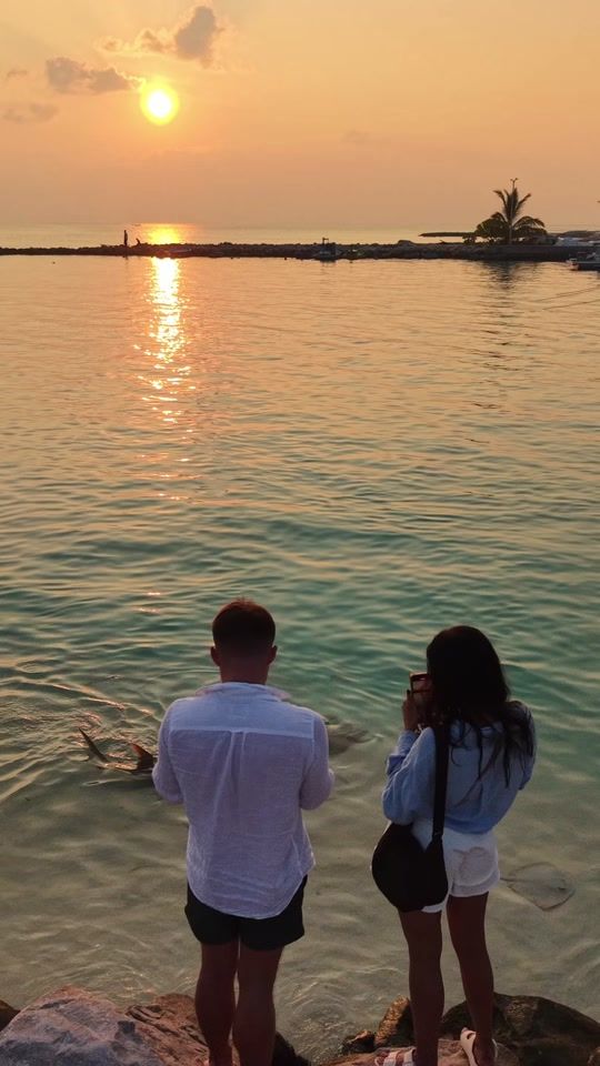 TikTok video thumbnail by hithamaldives