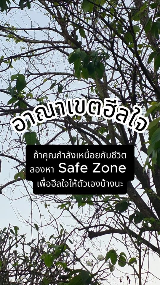 TikTok video thumbnail by writer.panatgon
