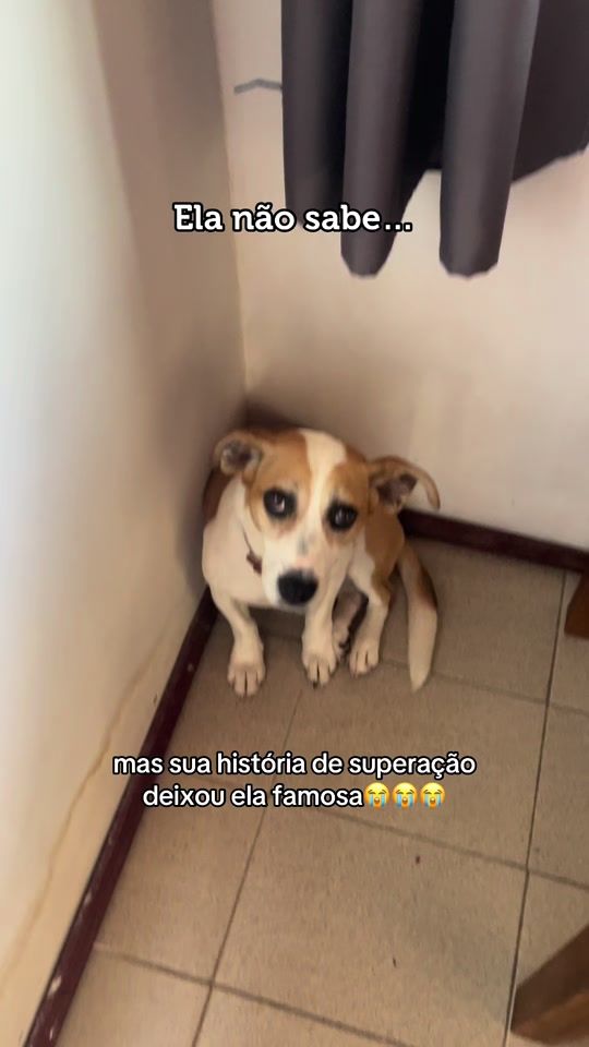 TikTok video thumbnail by rotinaurora