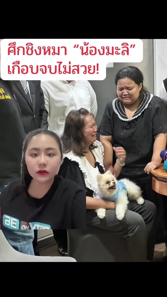 TikTok video thumbnail by porsche.reporter