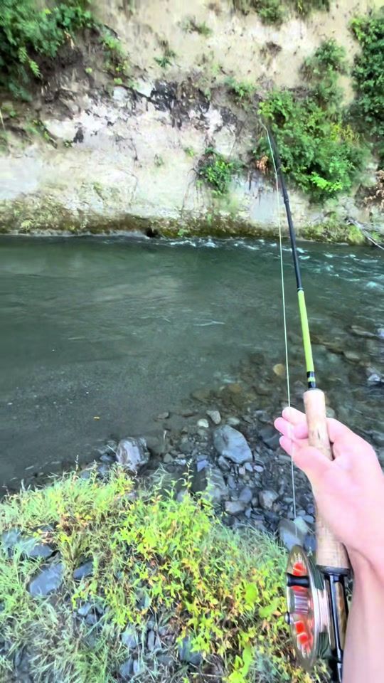TikTok video thumbnail by baxter_flyfishnz