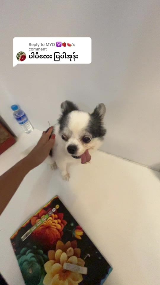 TikTok video thumbnail by usersoesandar21