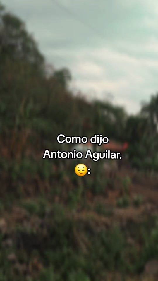 TikTok video thumbnail by 0000l00700