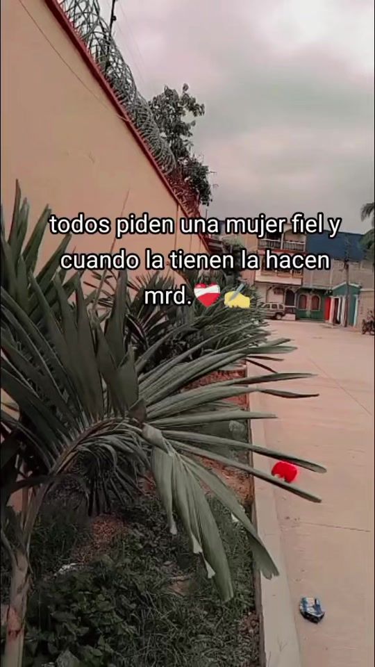 TikTok video thumbnail by castro28.8