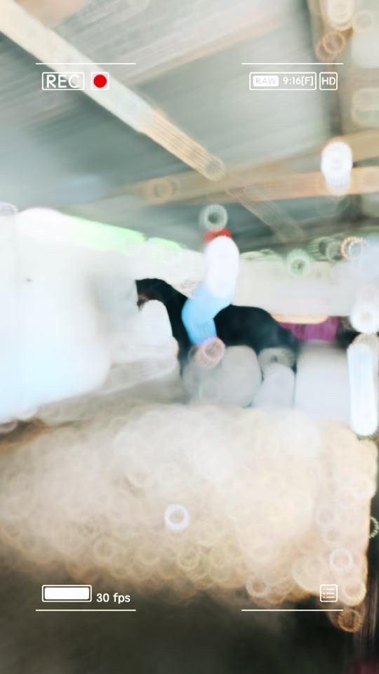 TikTok video thumbnail by luisarmandocerezo_18