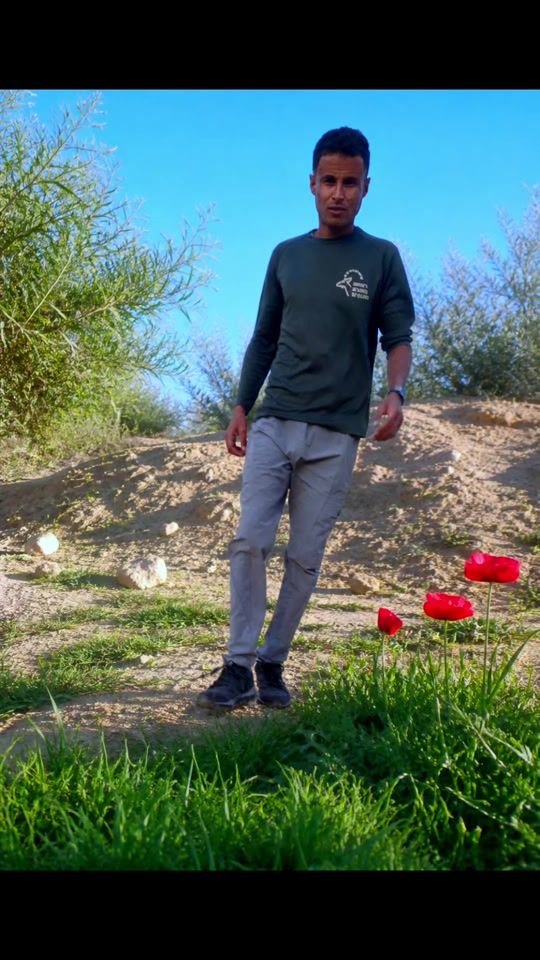 TikTok video thumbnail by 3al_bal
