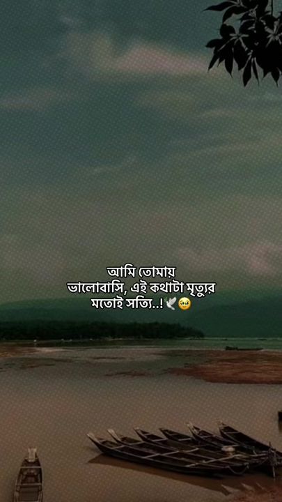TikTok video thumbnail by _sabbir__01