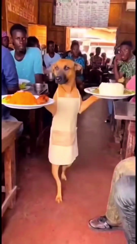 TikTok video thumbnail by omoajiko