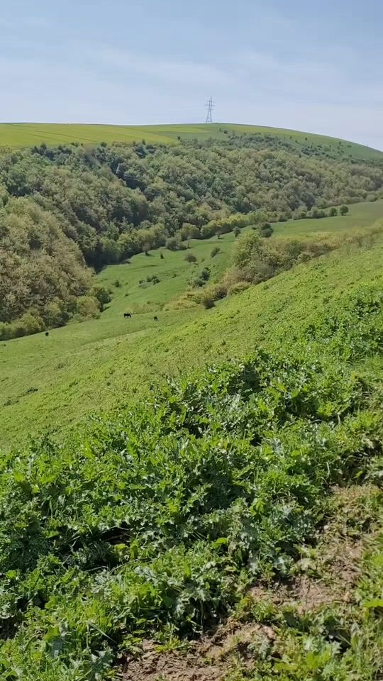 TikTok video thumbnail by izle_87