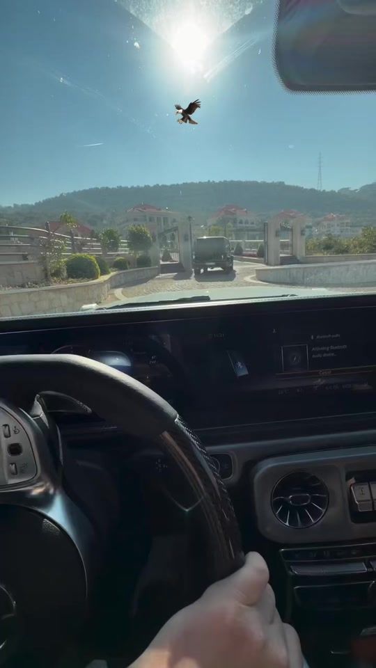 TikTok video thumbnail by lx5_____