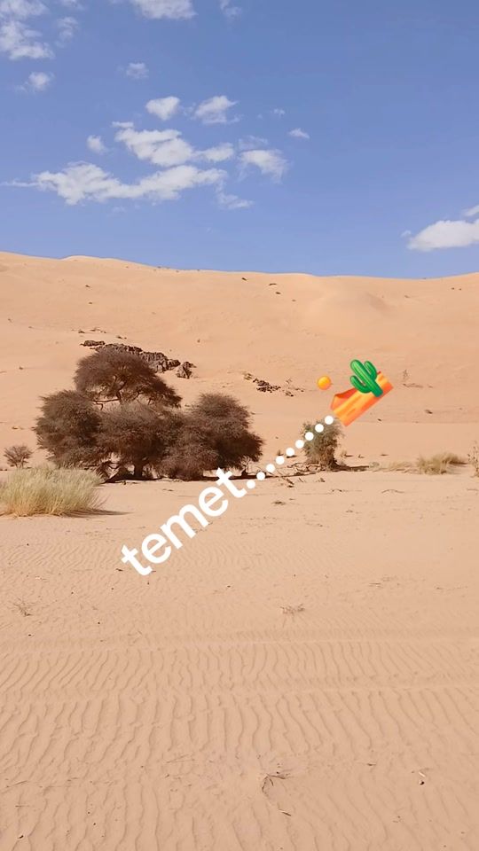 TikTok video thumbnail by targui.....4
