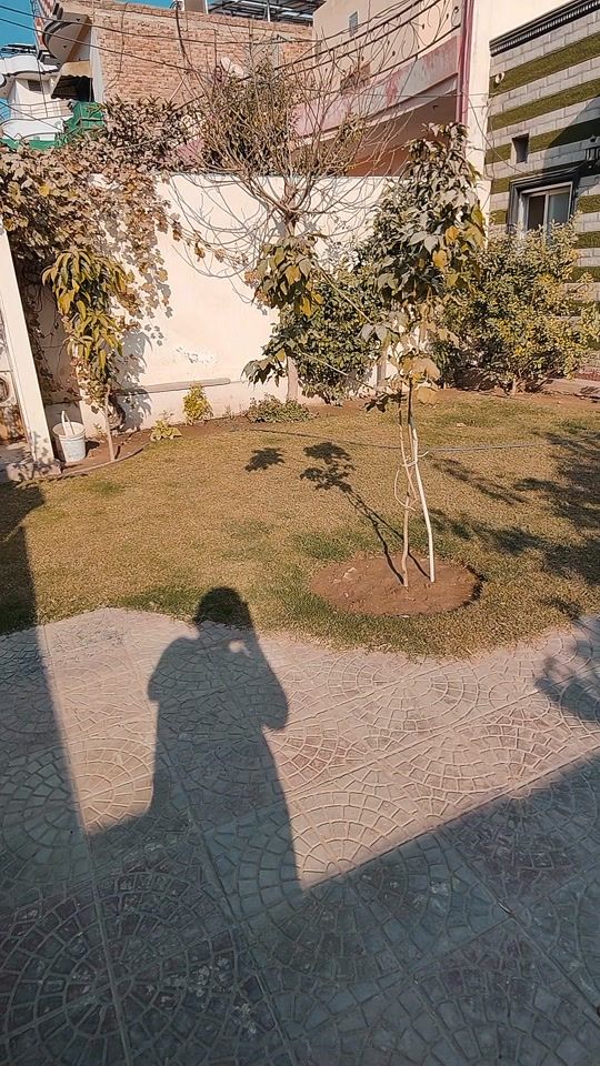 TikTok video thumbnail by danishsami1