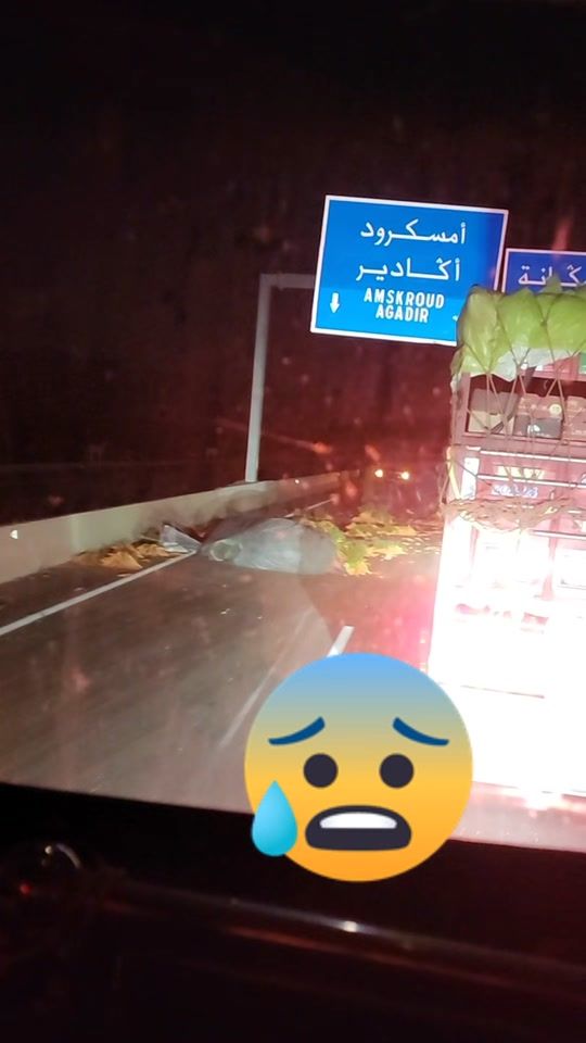 TikTok video thumbnail by hamzatalbi64