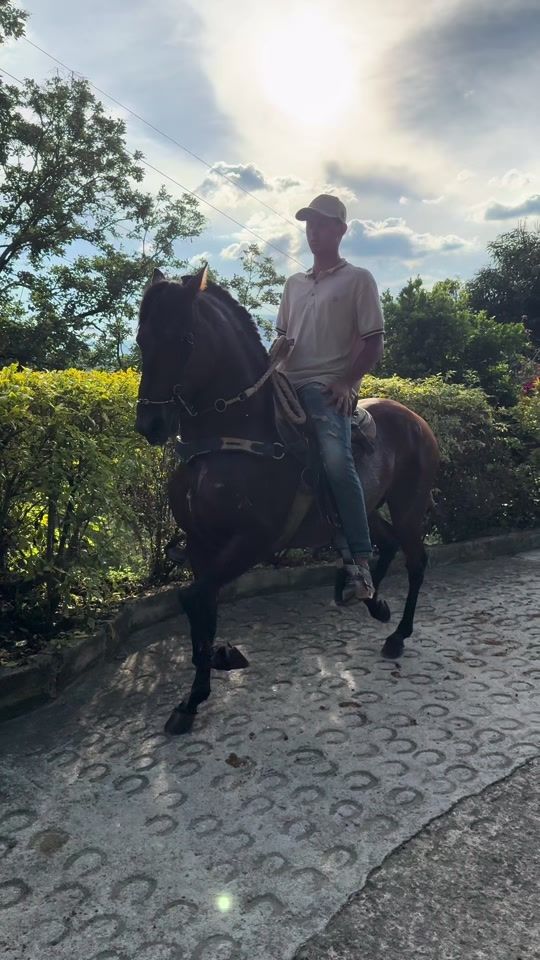 TikTok video thumbnail by jose.13t
