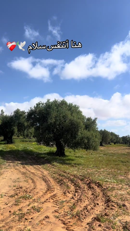 TikTok video thumbnail by sirine.ben.abdallah