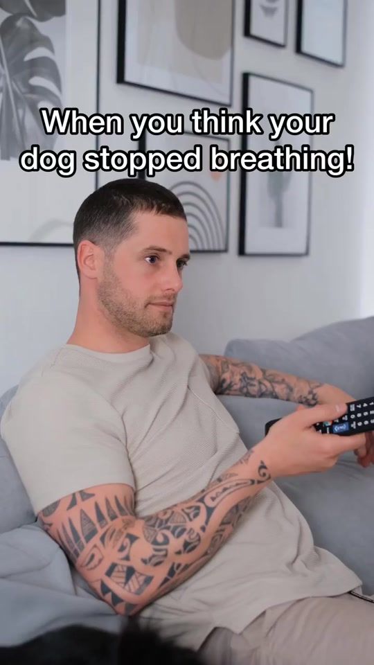 TikTok video thumbnail by michaelantonella4