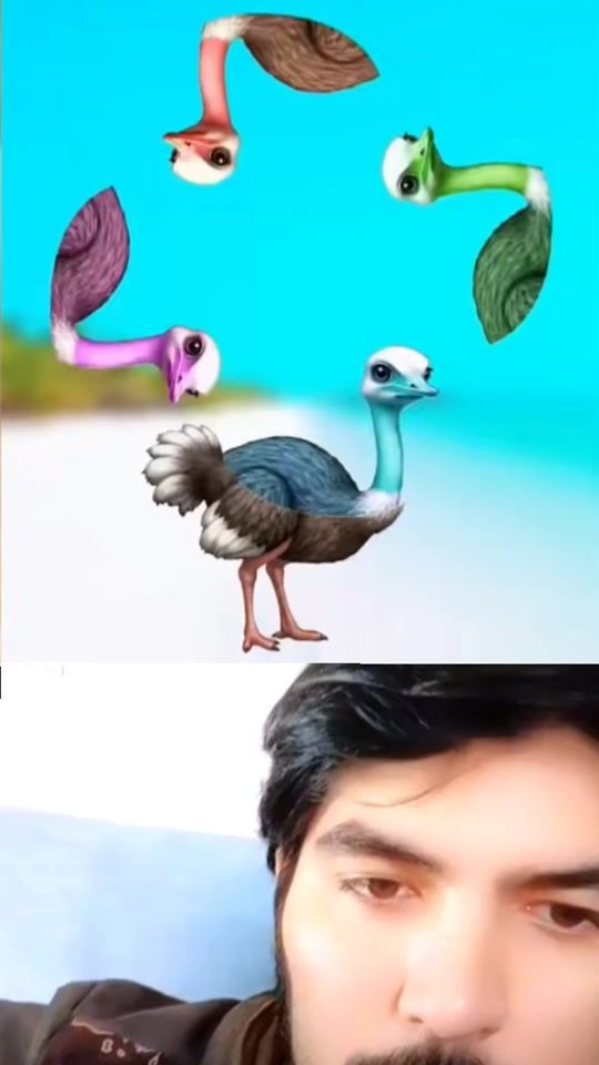 TikTok video thumbnail by daler.92