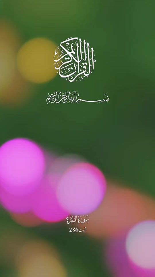 TikTok video thumbnail by asifmughal00