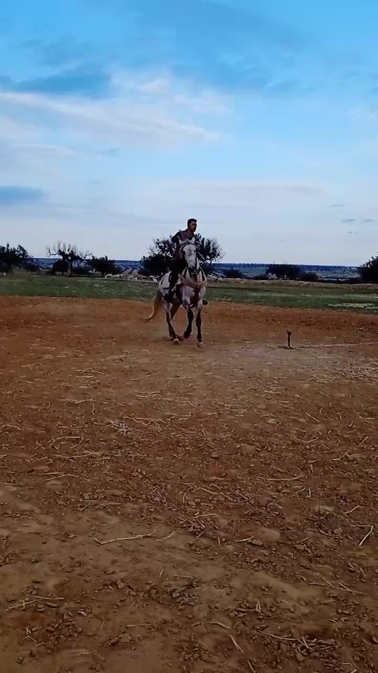 TikTok video thumbnail by mourad.nafti6