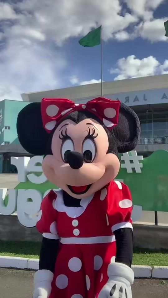 TikTok video thumbnail by minniebrasill