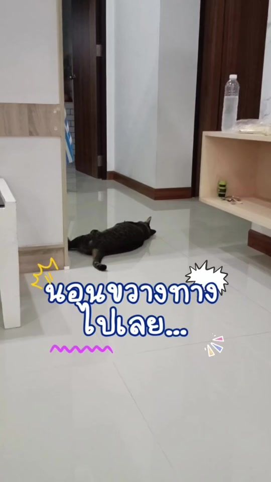 TikTok video thumbnail by usertom_tom