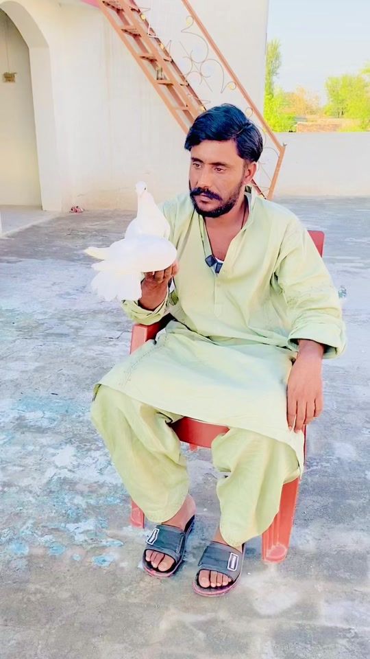 TikTok video thumbnail by barisultan.55