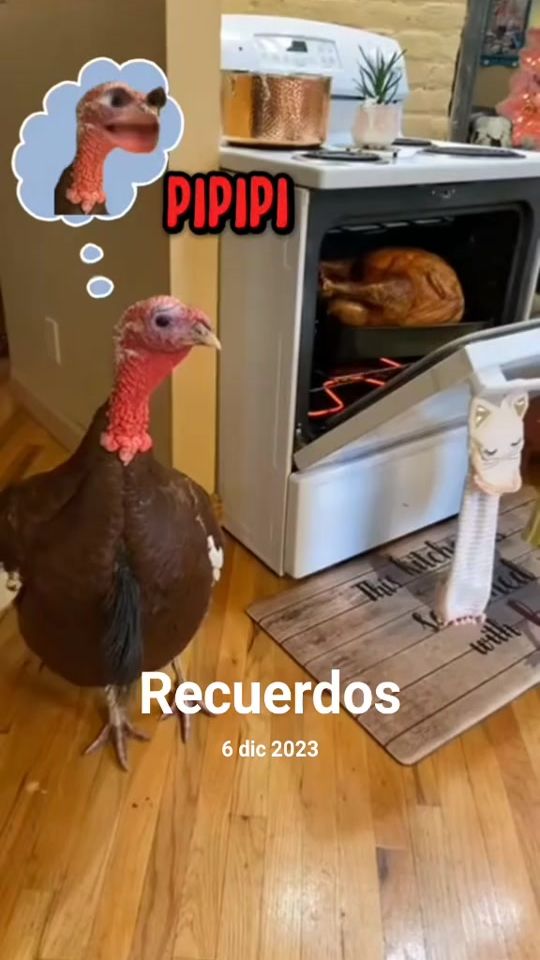 TikTok video thumbnail by jhonn_fw