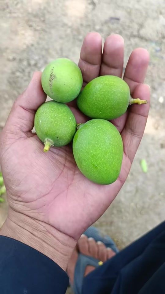 TikTok video thumbnail by sajjad_sindhi_77