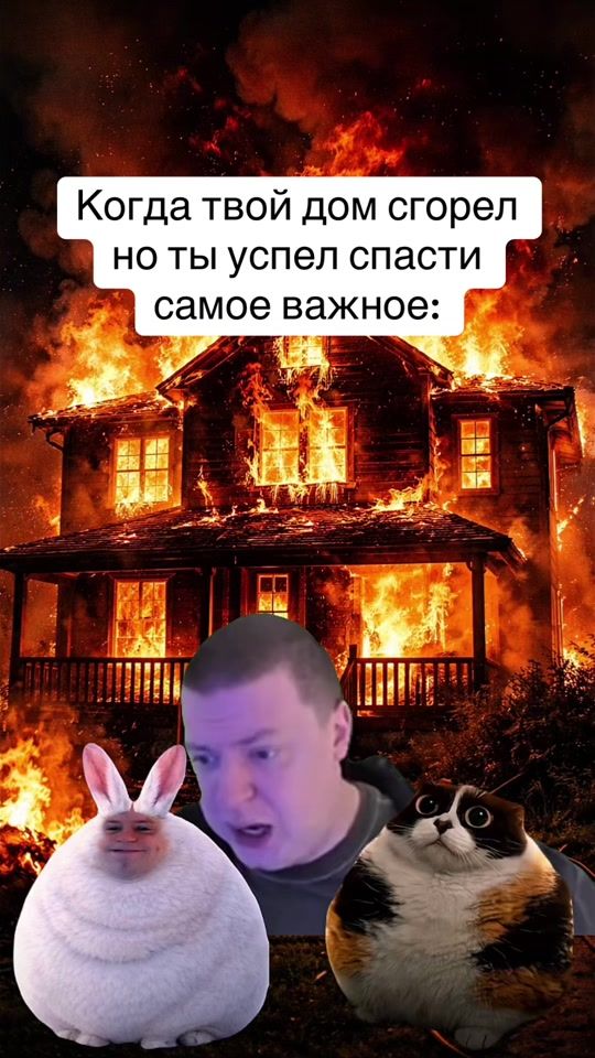 TikTok video thumbnail by memstanc