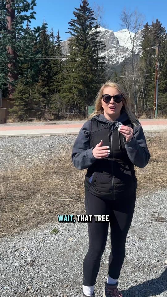 TikTok video thumbnail by megiipierson