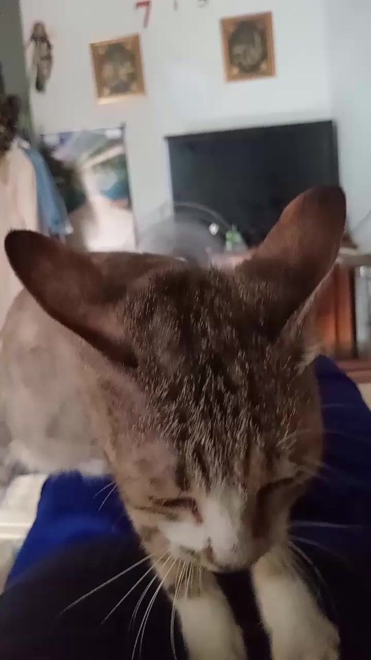 TikTok video thumbnail by yusep619