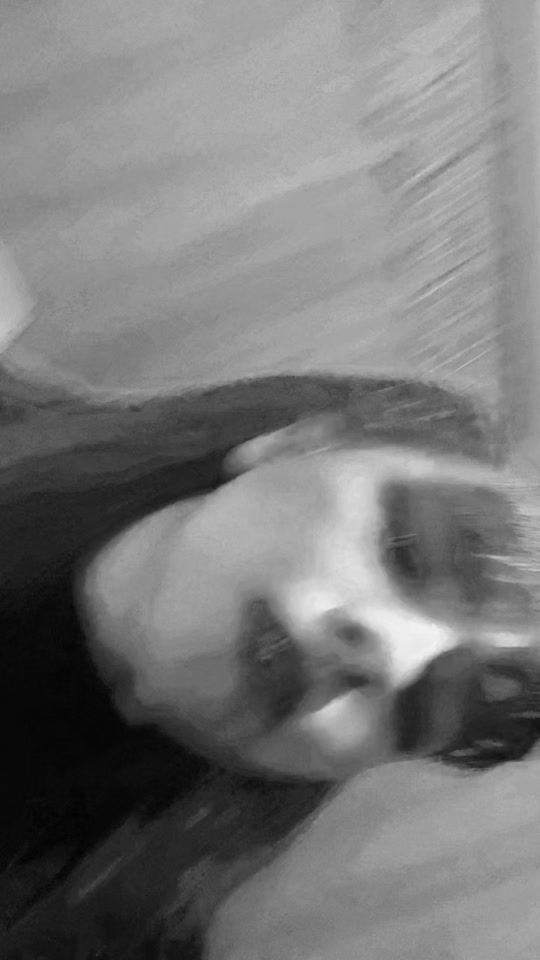 TikTok video thumbnail by kathleen..01