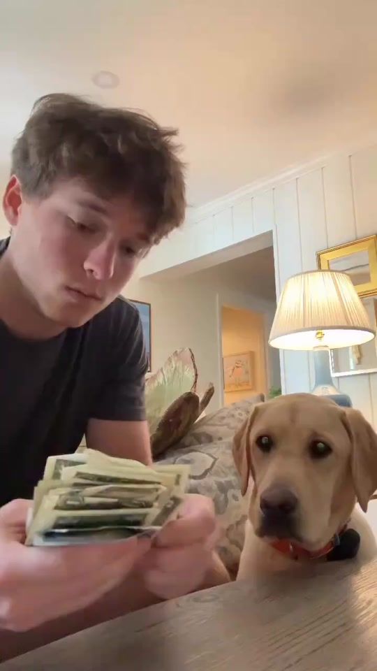 TikTok video thumbnail by henry_.neza