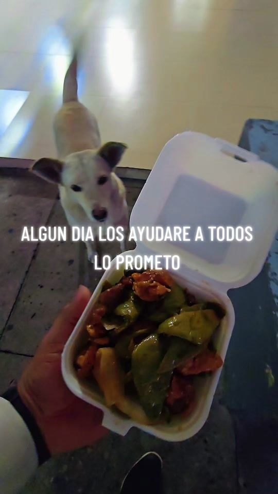 TikTok video thumbnail by yecapixtlamorelos