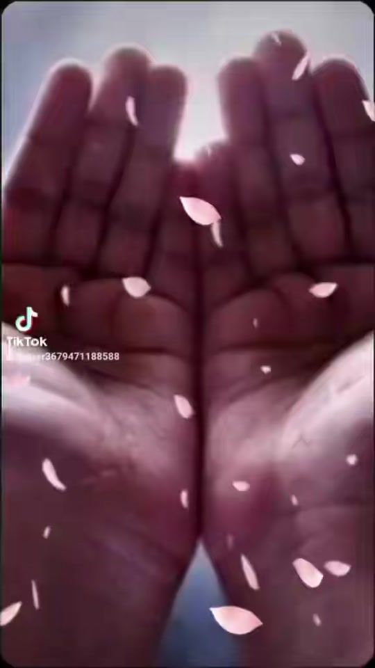 TikTok video thumbnail by user3679471188588